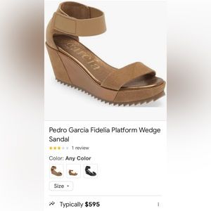 - NWOT Pedro Garcia Fidelia Platforms Wedge sandals Price $550